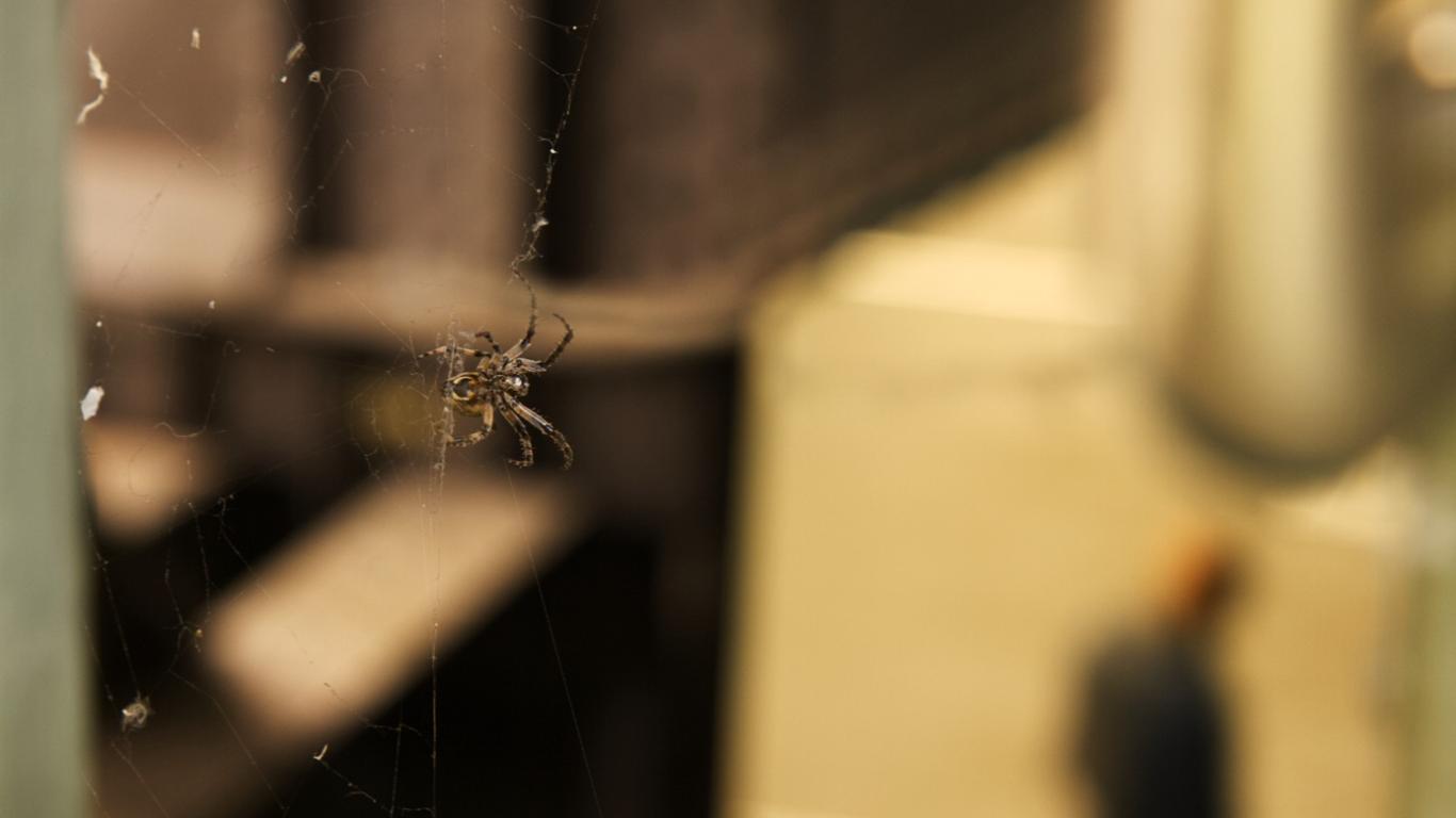 Design ohne Titel(156)